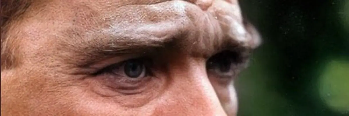 Original analysed image