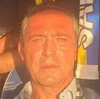 Original analysed image