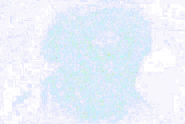 Forensic suspicion heatmap