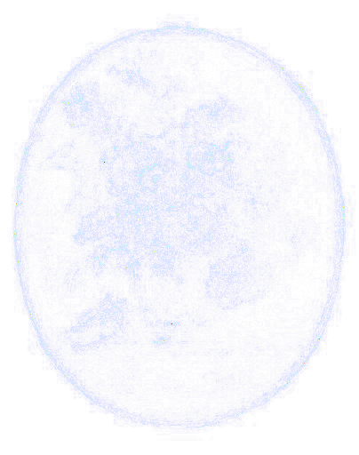 Forensic suspicion heatmap